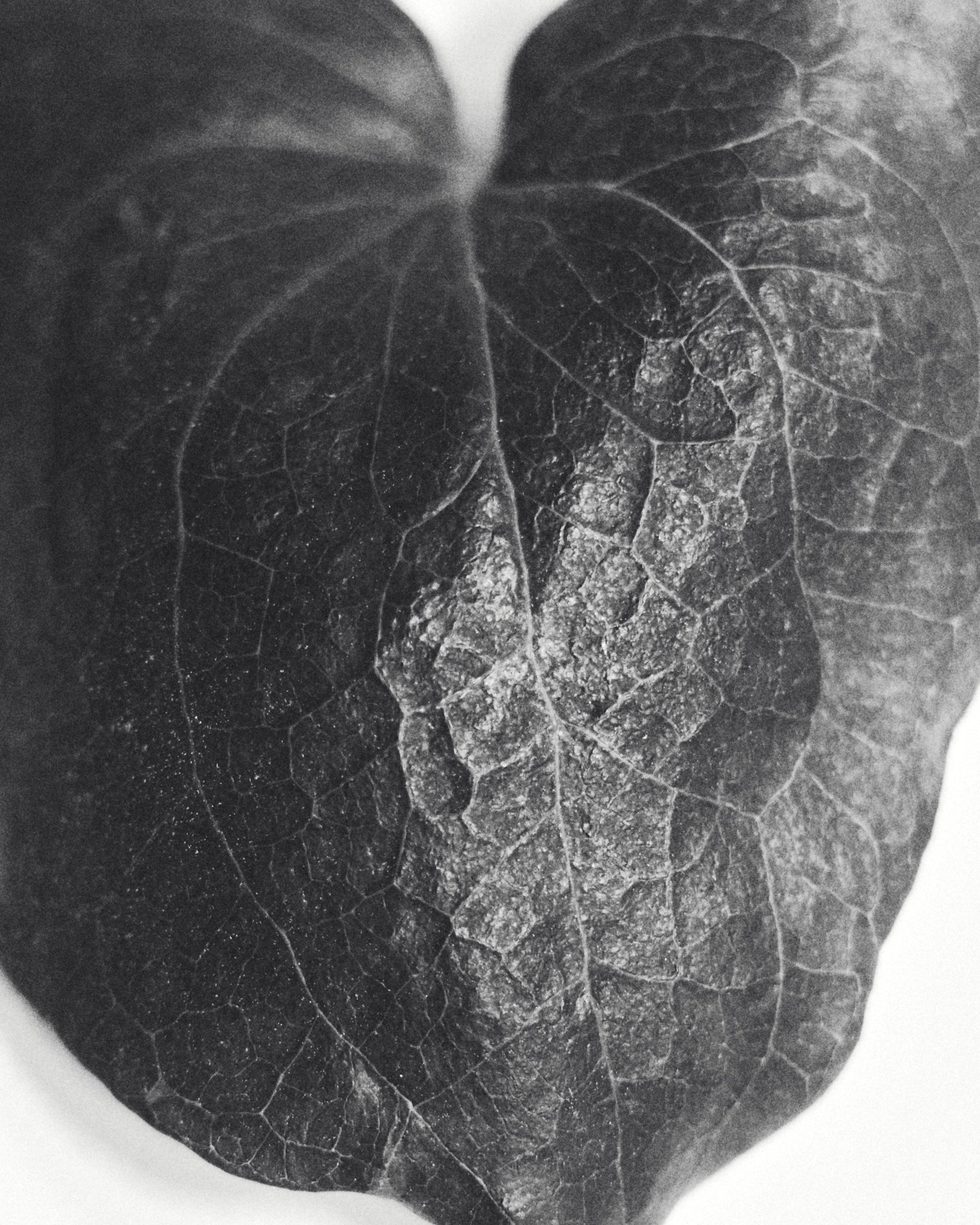 2025 AUTUMN & WINTER|BIYOMA(ビヨーマ)OFFICIAL ONLINE STORE