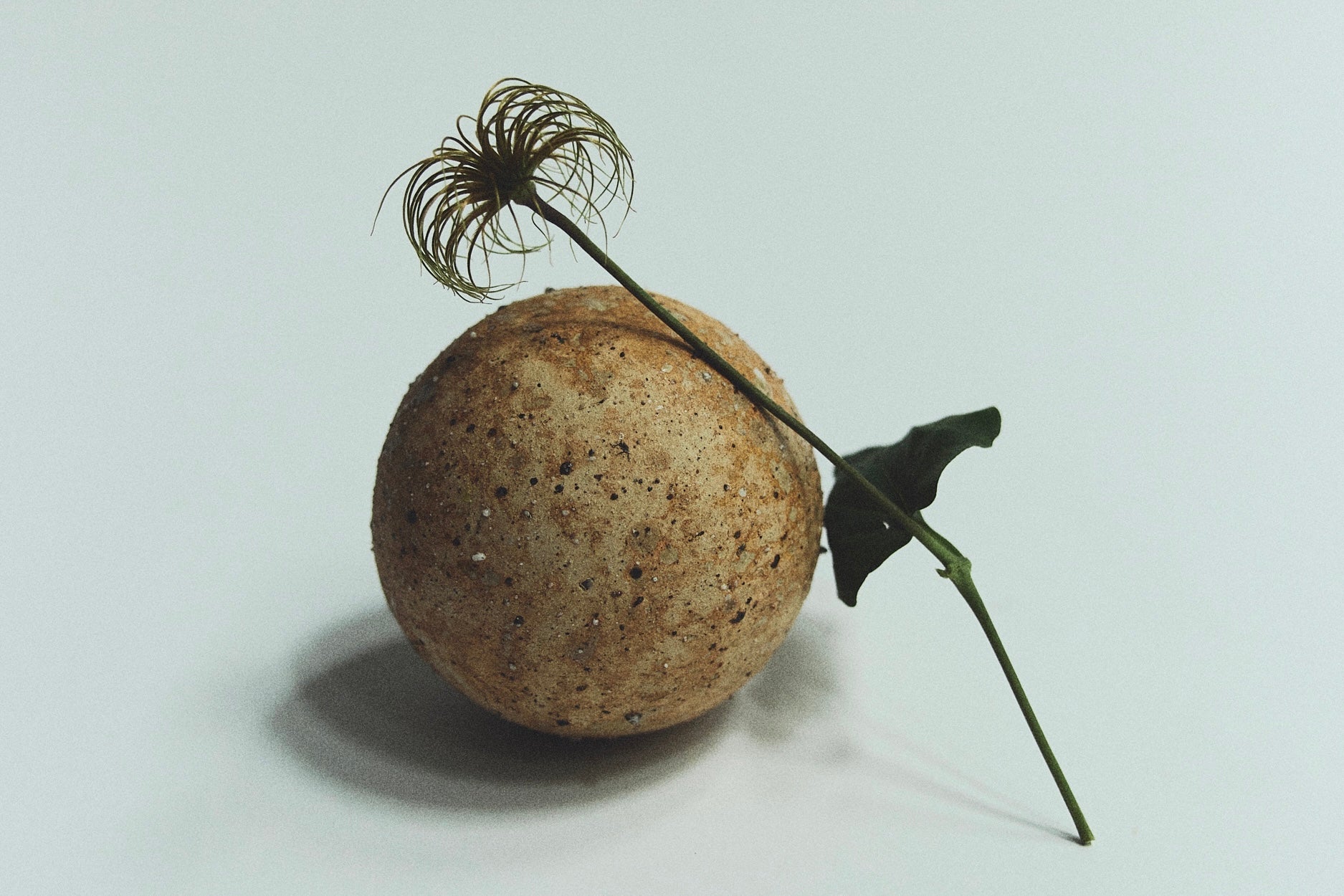 versatile paris Accrodisiaque 15ml（ヴェルサティルパリ アクロ