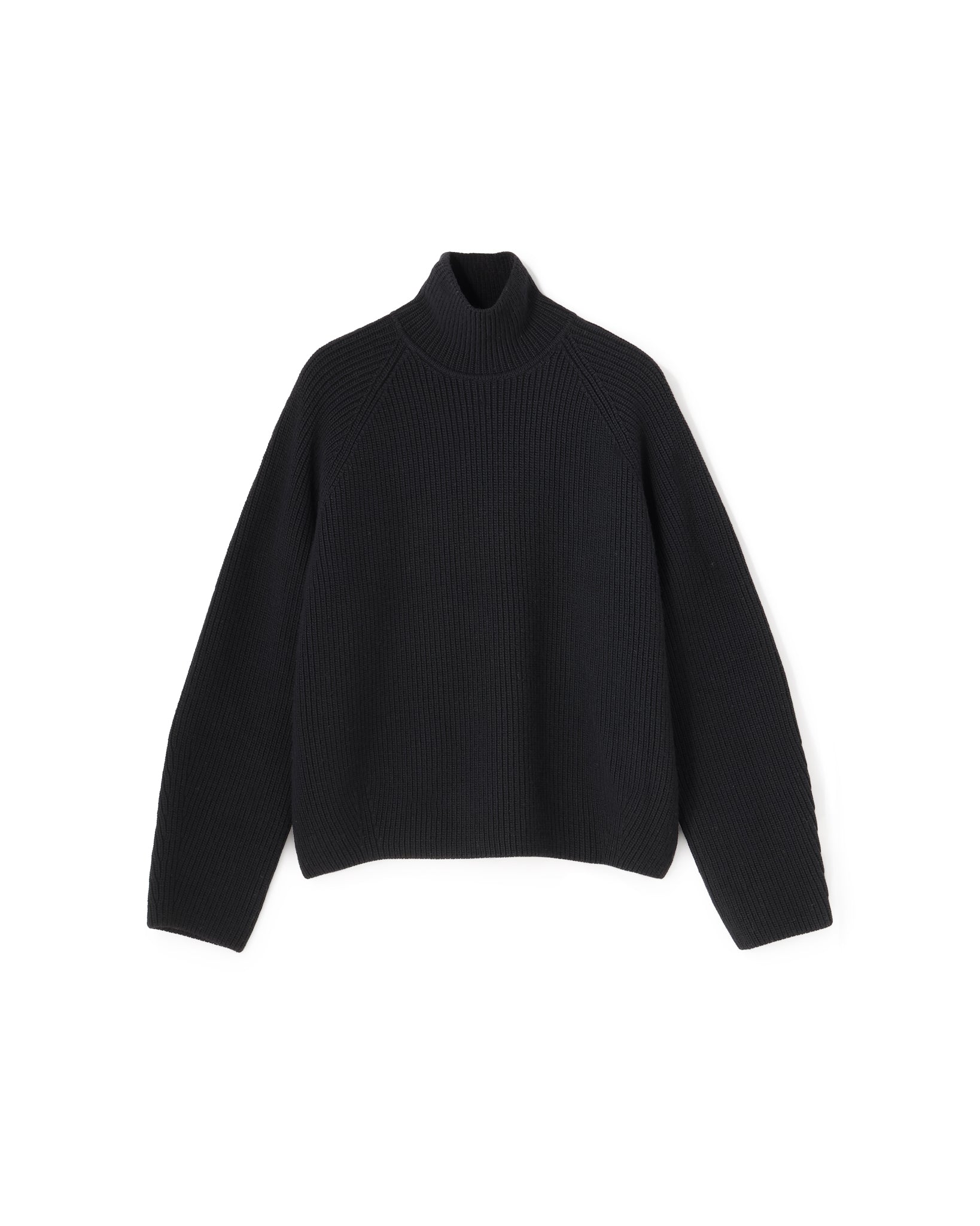 WOOL RIB KNIT TURTLENECK PULLOVER（ウールリブニットタートルネック